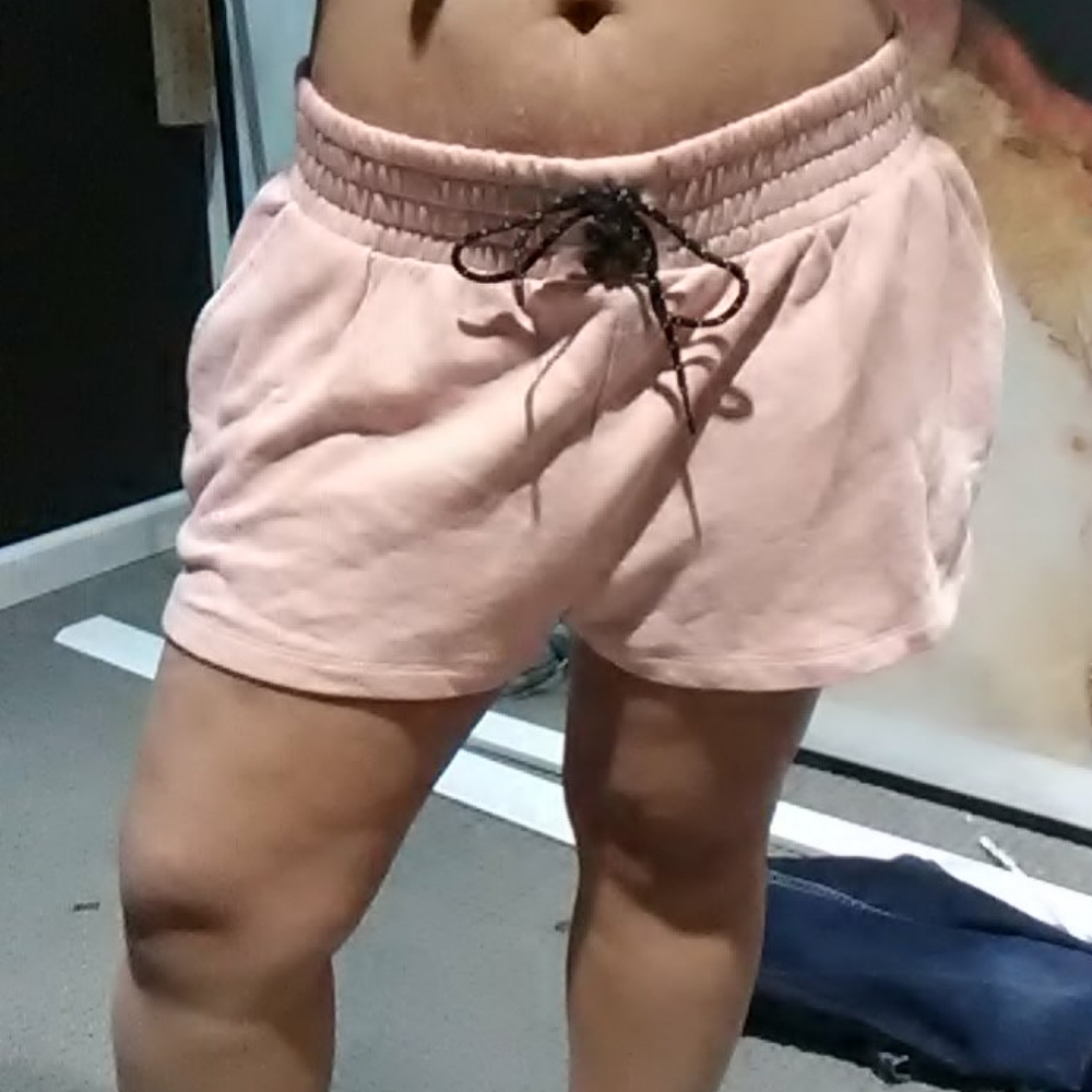 PINK High Waisted shorts